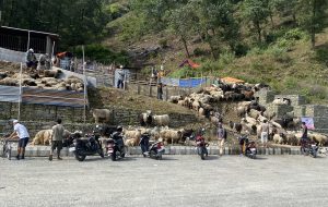 सहर भित्रिए हिमाली च्याङ्ग्रा