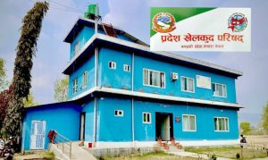 कल्याणकारी कोषले खेलाडीलाई राहत