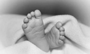 जीपले ठक्कर दिँदा पाँच वर्षीय बालकको मृत्यु