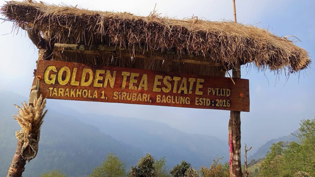 ‘टि–टेस्टिङ’ प्रतियोगितामा बागलुङको चिया उत्कृष्ट