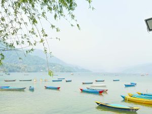 फेवातालको जलाधार क्षेत्र संरक्षण गरिने