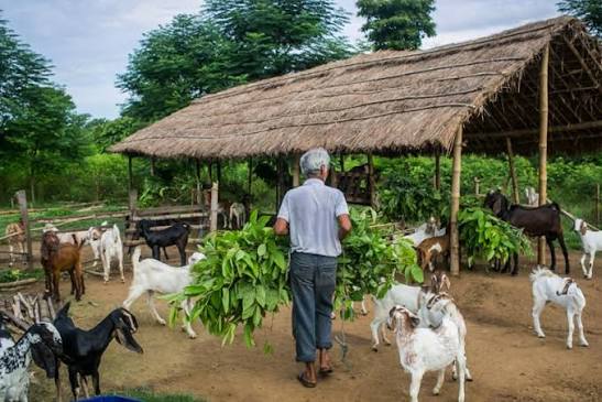 कृषि उद्यम गर्ने युवालाई कृषि ऋणमा ब्याज अनुदान