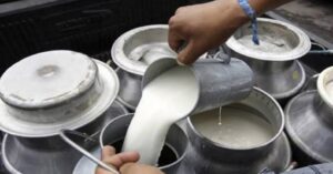 दूग्ध उत्पादक किसानलाई साढे पाँच करोड अनुदान