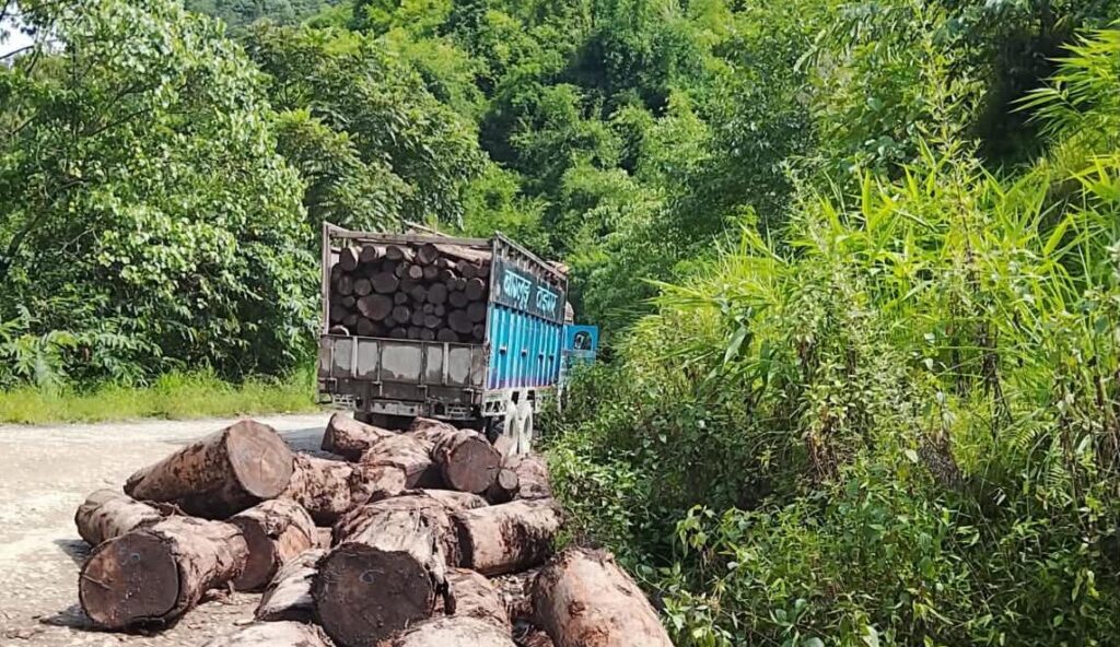 अवैध काठसहित ट्रक नियन्त्रणमा, तीन जना पक्राउ