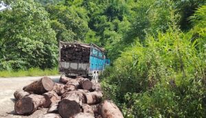 अवैध काठसहित ट्रक नियन्त्रणमा, तीन जना पक्राउ
