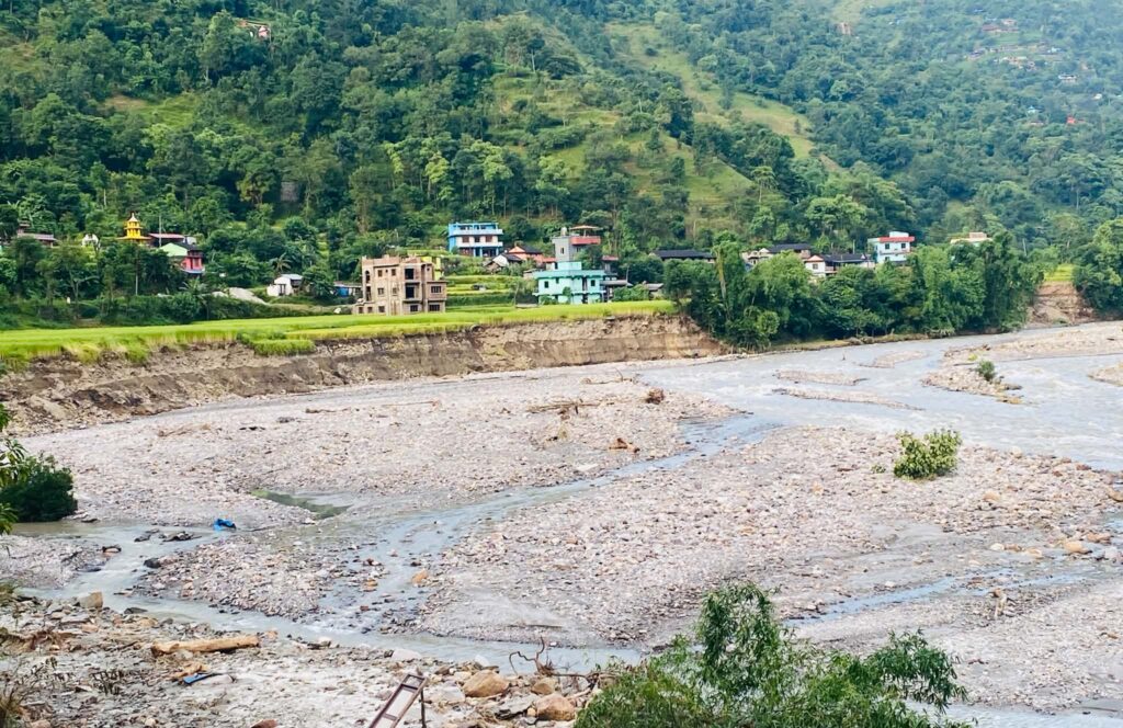 पाक्दै थियो धान, खेतै लग्यो बाढीले