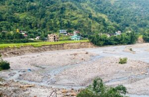 पाक्दै थियो धान, खेतै लग्यो बाढीले